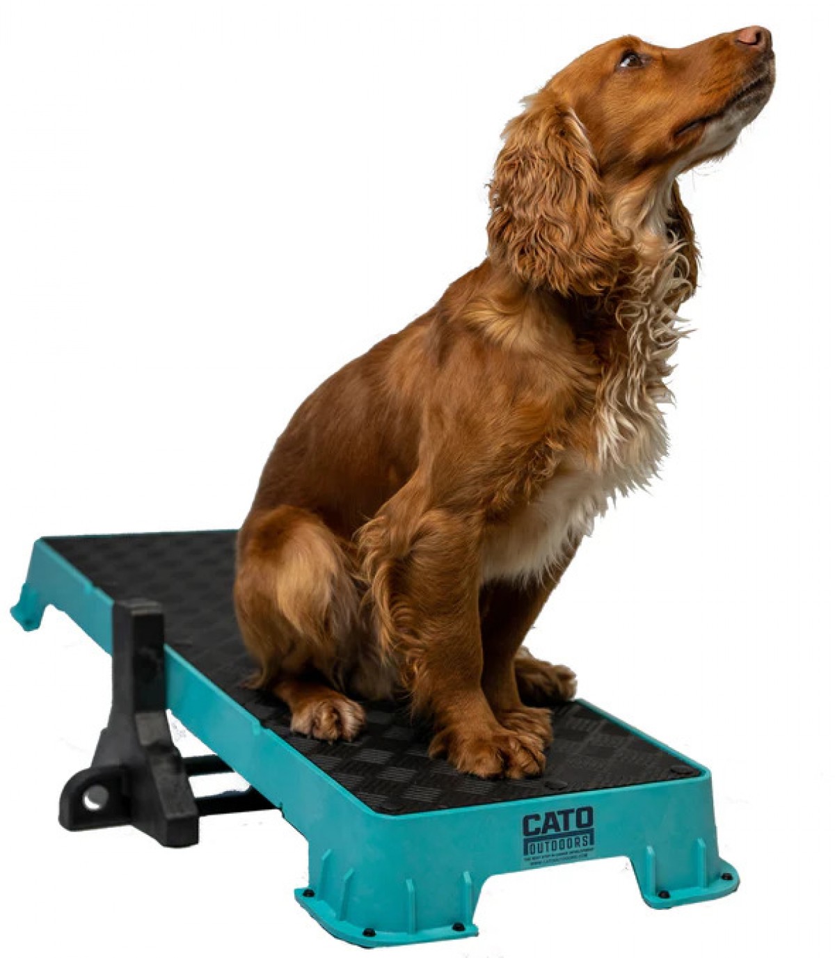 Cato Board Dog Training Platform – 16in wide x 24in long x 3.5in