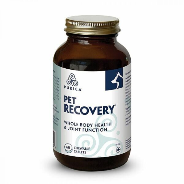 Purica - Recovery Chewable Tabs - 60PK