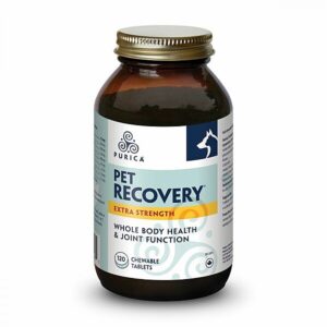 Purica - Recovery Extra Strength Chewable - 120PK