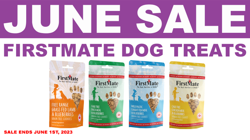 Firstmate Mini Trainers Dog Treats – June Sale – 20% OFF