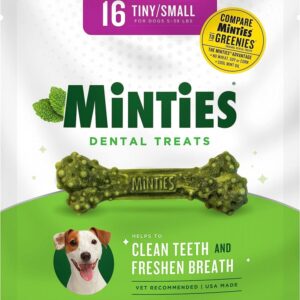 VetIQ - Minties Maximum MINT DENTAL Bones Dog Treat - TNY/SM - 181GM (6.4oz) - 16CT