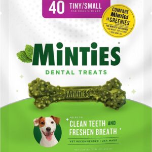 VetIQ - Minties Maximum MINT DENTAL Bones Dog Treat - TNY/SM - 453GM (16oz) - 40CT