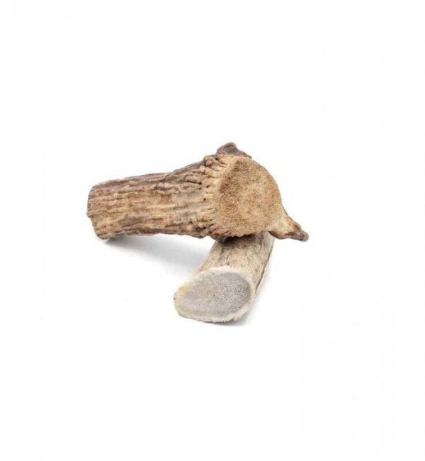 Furever Pure - Solid ELK ANTLER Dog Chew - SMALL - 7.5-12.7CM (3-5in)