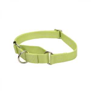 Coastal - No Slip Adjustable MARTINGALE Dog Collar - Lime - Small