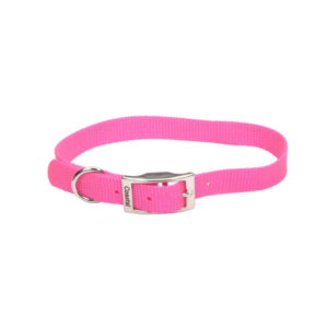 Coastal - Standard Nylon Dog Collar - Neon Pink - 1.6 x 41CM