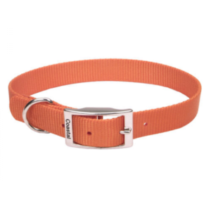 Coastal - Standard Buckle Nylon Dog Collar - Sunset Orange - 1.5 x 25.5CM