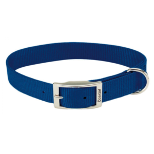 Coastal - Standard Buckle Nylon Dog Collar - Blue - 2.5 x 56CM