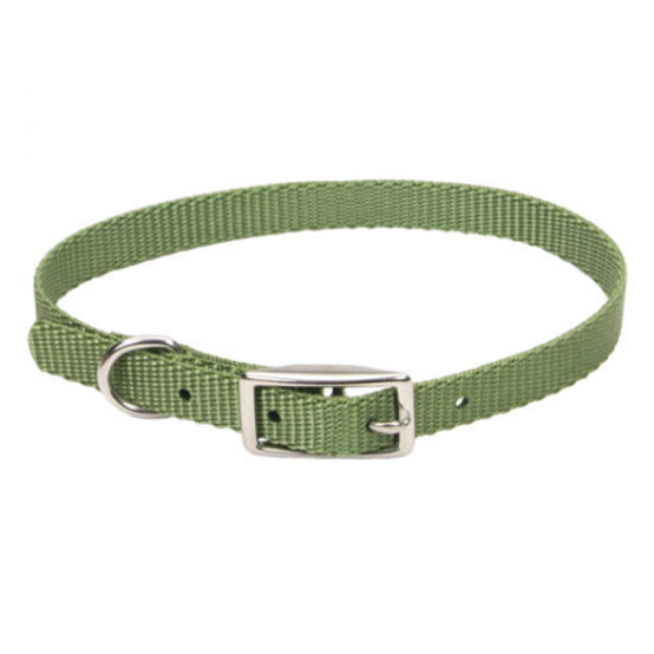 Coastal - Standard Buckle Nylon Dog Collar 3/8" - Palm Green 10