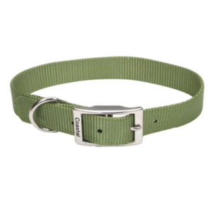 Coastal - Standard Buckle Nylon Dog Collar - Palm Green - 2.5 x 56CM