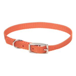 Coastal - Standard Buckle Nylon Dog Collar SUNSET ORANGE 3/8in - 12in