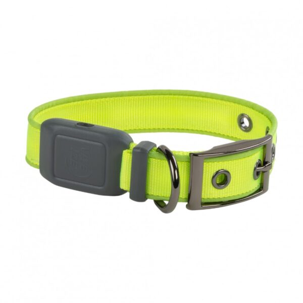Nite Ize - NiteDog Rechargeable LED Collar Lime - Small 30.5-40.6cm (12-16in)