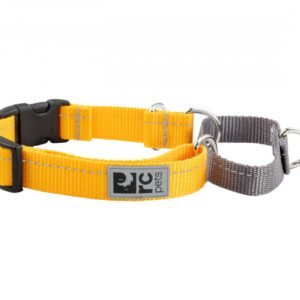 RC Pets - Primary Web Training Clip Collar - MARIGOLD - SMALL (11-14in)