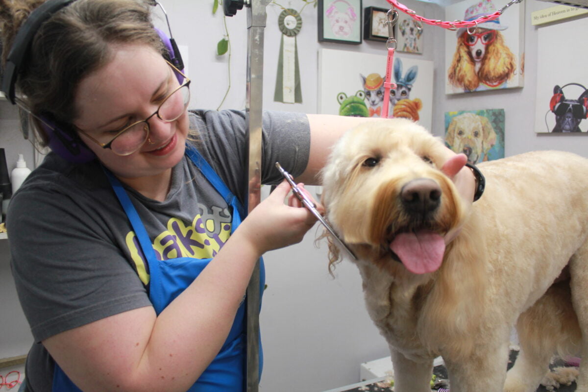Barks and Recreation Pet Services in Trail, BC - Head Groomer Brenda