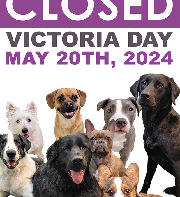 Barks and Recreation will be closed on Victoria Day