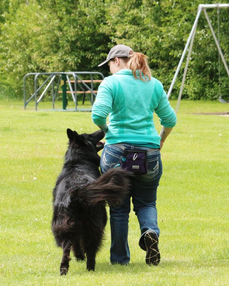 13124943 1793797987516741 8165475332403212049 N 13124943 1793797987516741 8165475332403212049 N