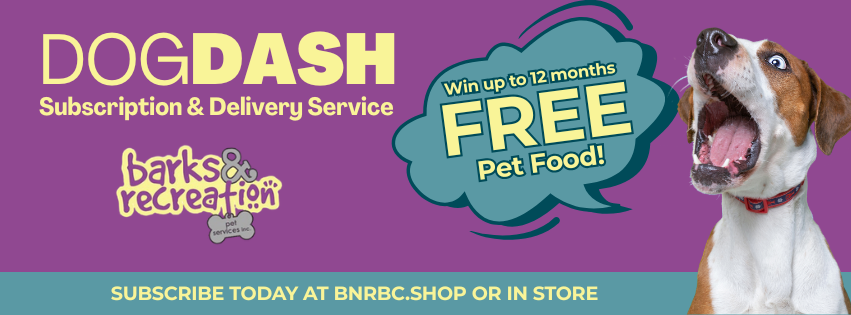 Dog Dash Win Social Media 2 Facebook Cover