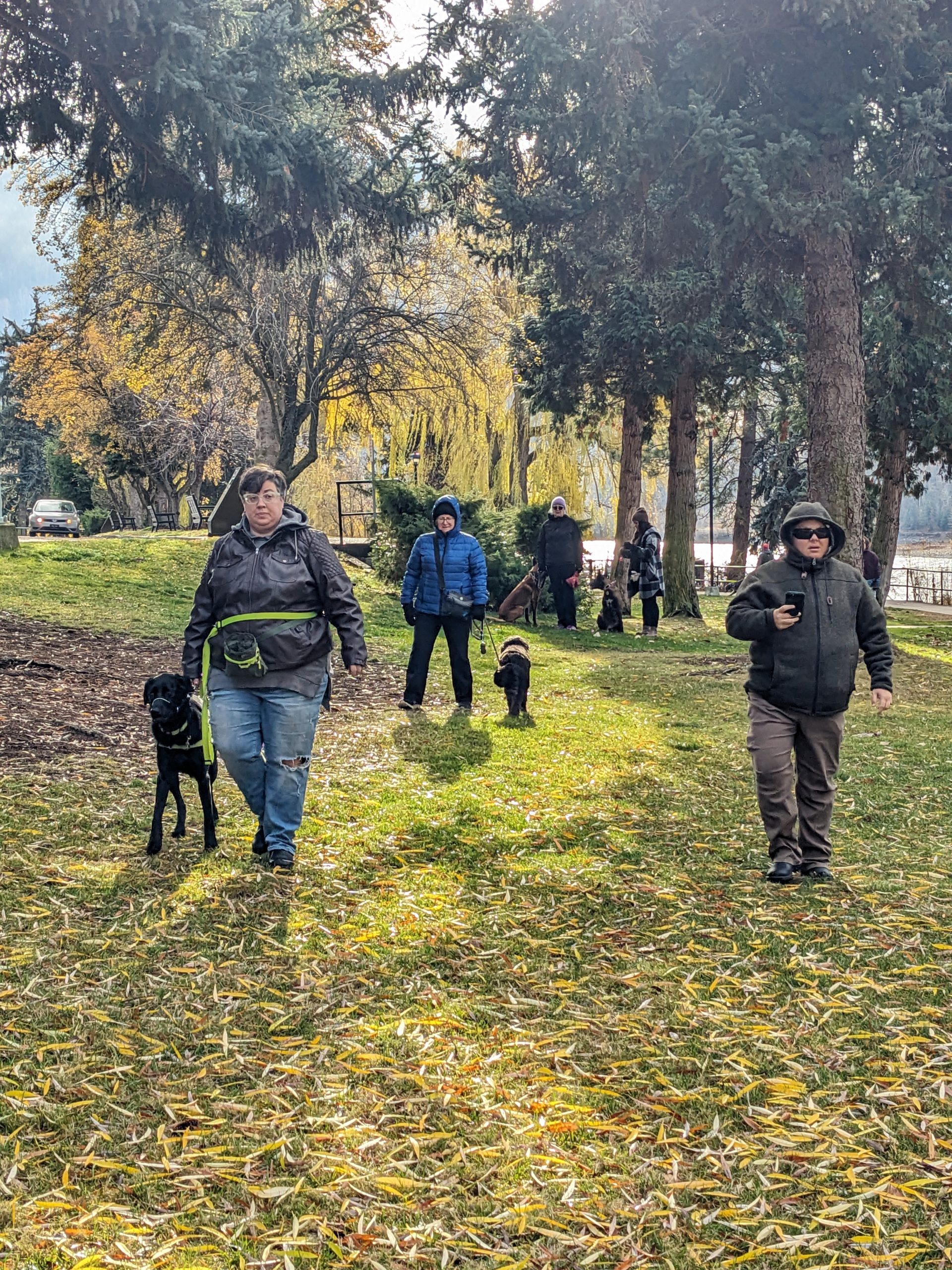 Pxl 20241116 185321654