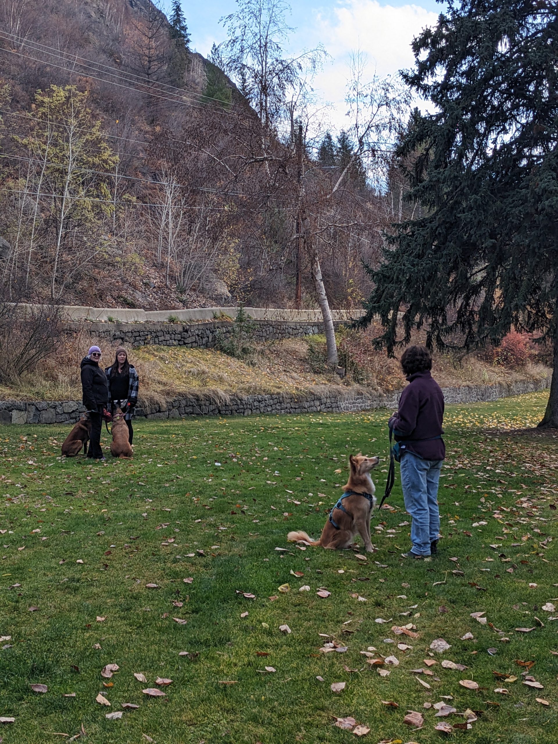 Pxl 20241116 191439054