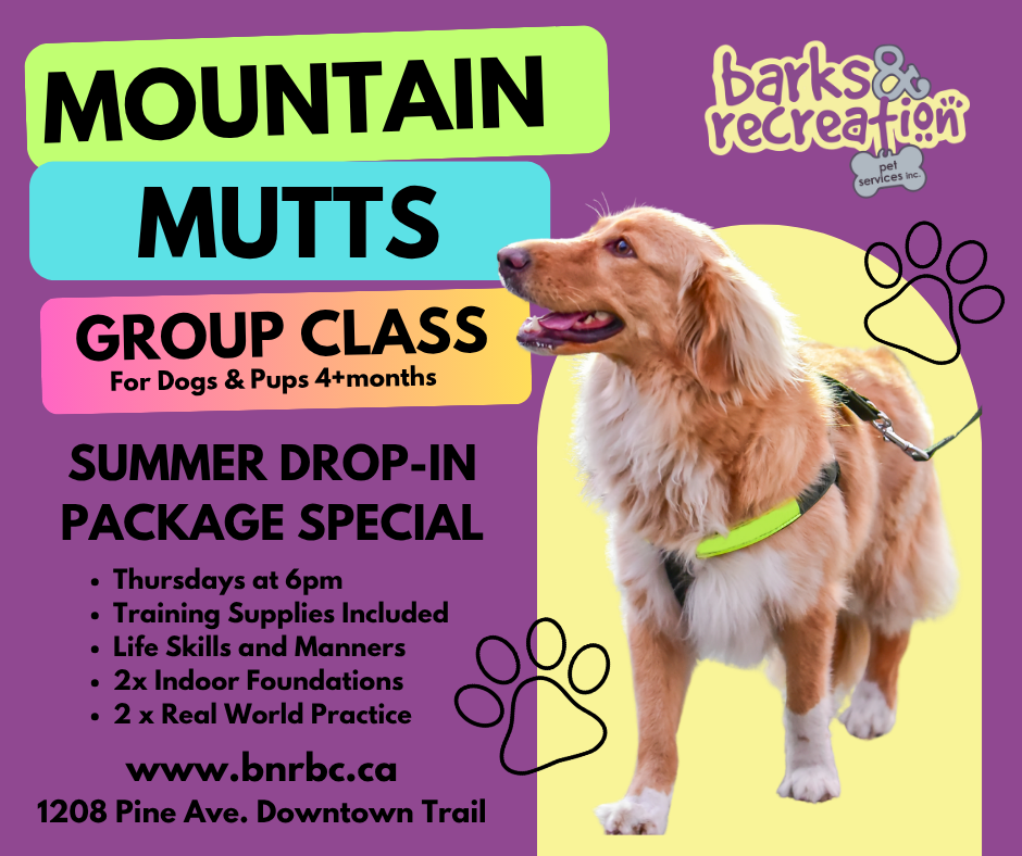 Mountain Mutts Social Media Mountain Mutts Social Media